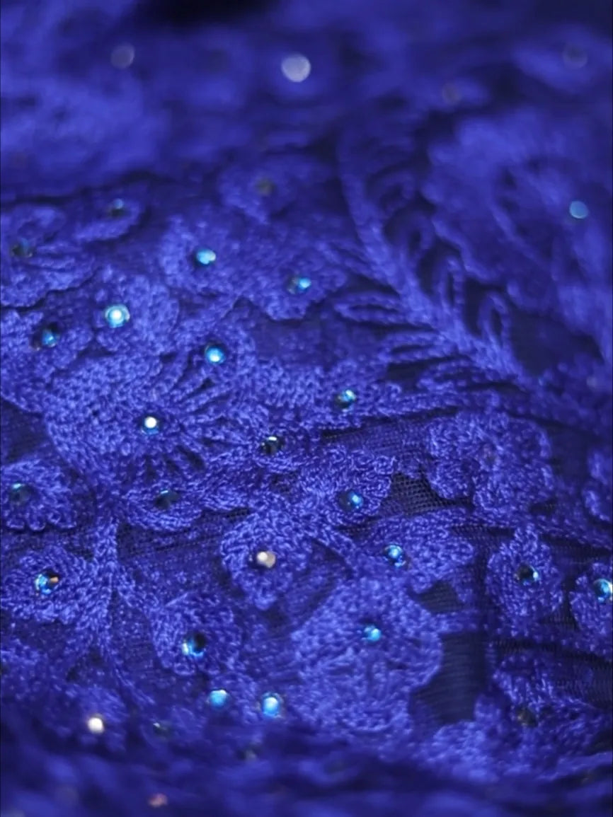 The Royal Blue Butterfly Net Saree with Rich Embroidery Work