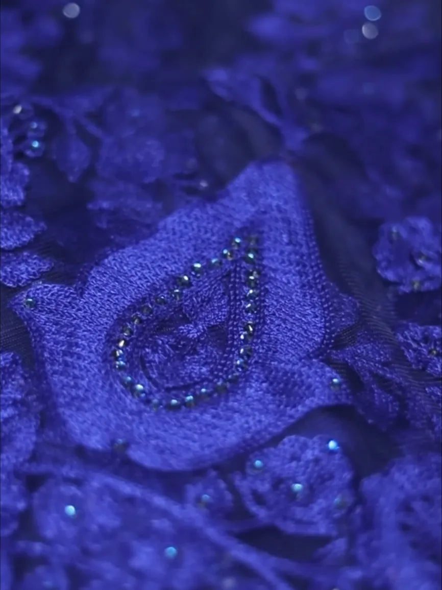 The Royal Blue Butterfly Net Saree with Rich Embroidery Work