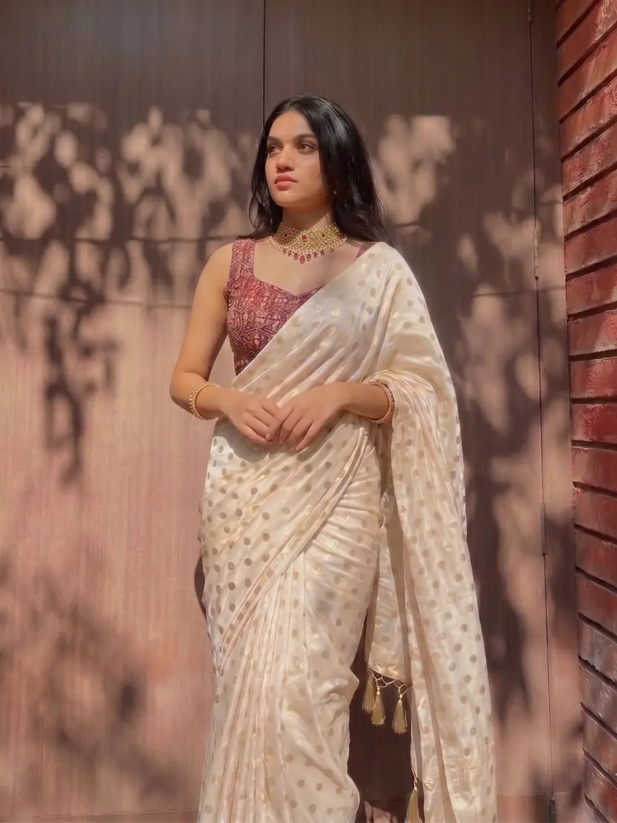 Pearl White Polka Foil Work Chiffon Saree